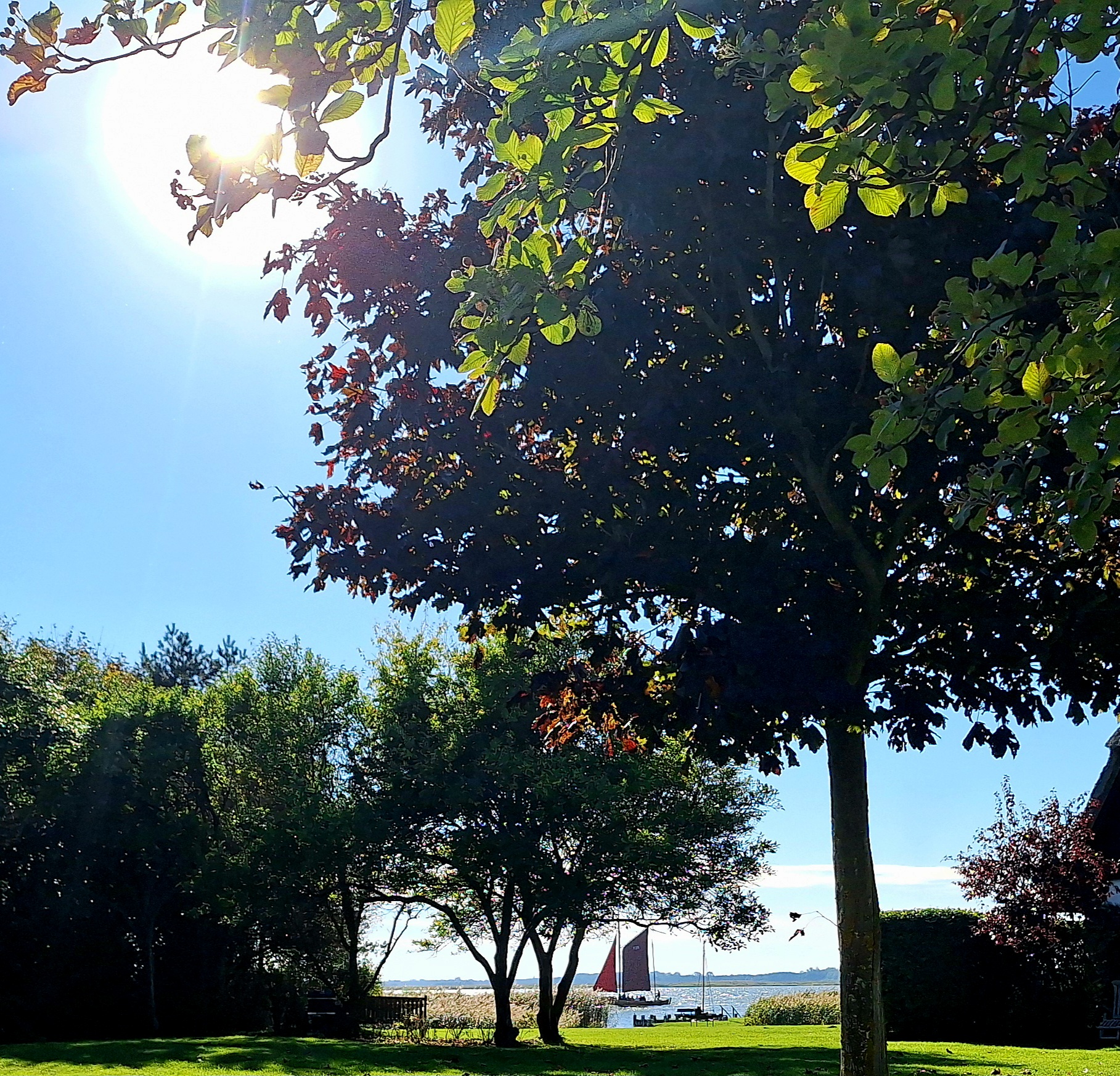 Strand und Darßwald bei Prerow